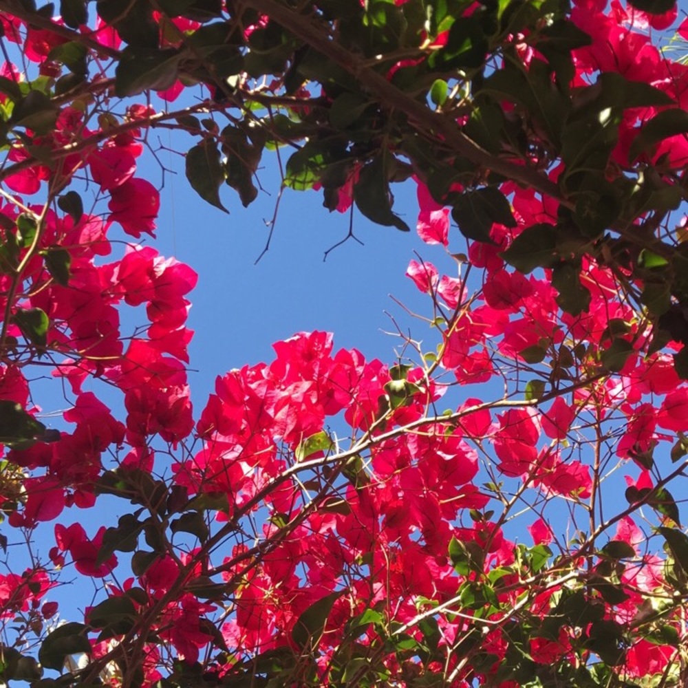 Meet your Posher, Sofia